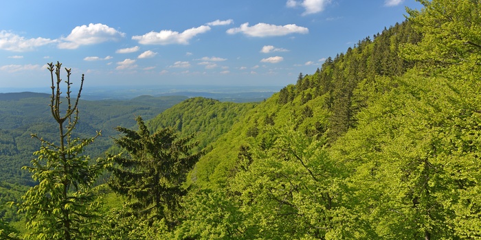 Inselberg, Thüringen i Tyskland