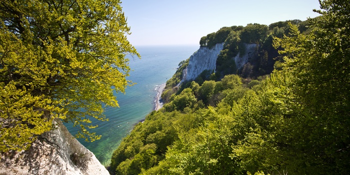 Jasmund National Park på Rügen