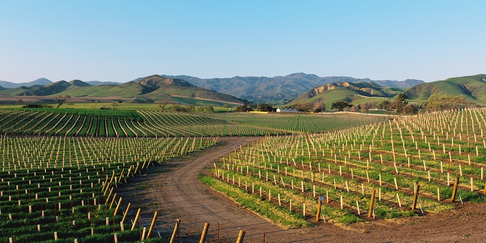 USA Californien Santa Ynez Valley