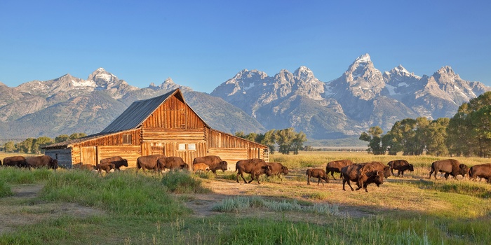 Grand Teton National Park, Wyoming