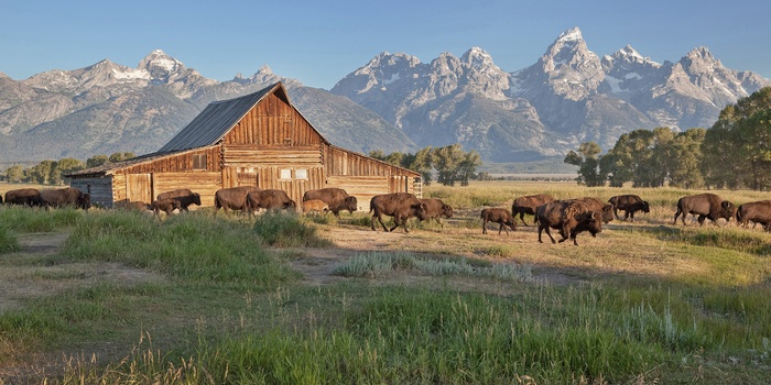 Grand Teton National Park, Wyoming