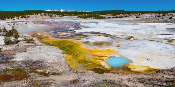 USA Yellowstone National Park Norris Geyser Basin