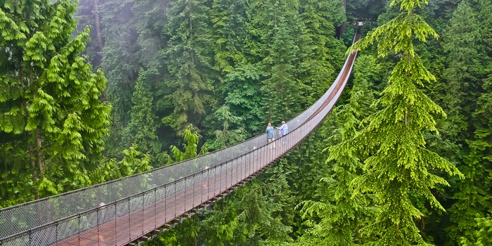 Hængebroen Capalino Suspension Bridge nær Vancouver, Canada
