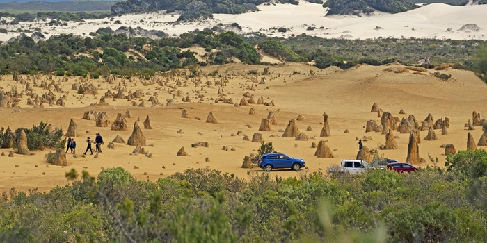 Nambung National Park i Western Australia - Foto: P. Hauerbach/ FDM