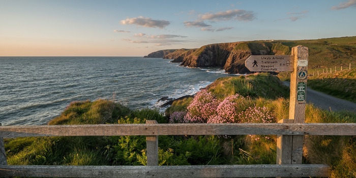 Wales - Pembrokeshire Coastal path ved Ceibwr Bay