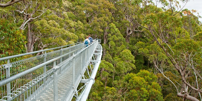 Gangbro i Valley og the Giants, Western Australia