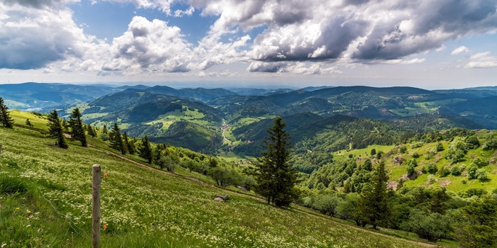 Udsigt fra Belchen © Hochschwarzwald Tourismus GmbH