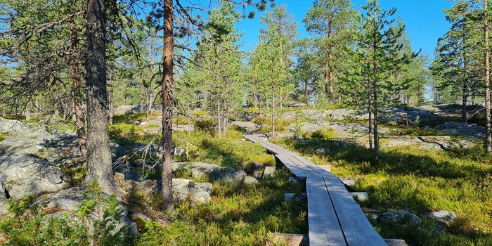 Lapland - desiree-krennrich-vzWYfNGpUfc-unsplash