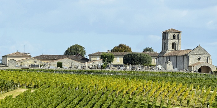 Vinmarkerne ved den skønne by St. Emilion i Bordeaux, Frankrig