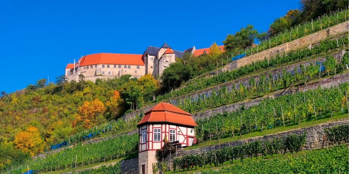 Vinmarker ved Neuenburg slot, Freyburg i Midttyskland