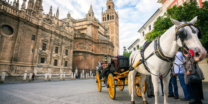 Giralda katedralen i Sevilla