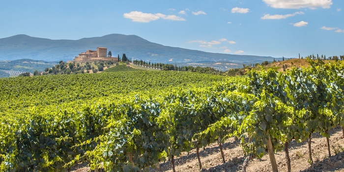 Vinområdet Chianti i Toscana