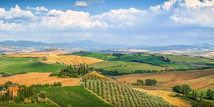 Val d'Orcia - smukt landskab med vinmarker i Toscana