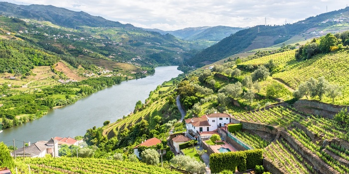 Douro floden og vinterrasser i det nordlige Portugal