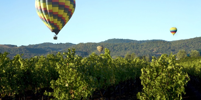 Luftballonner over skove i Brandenburg, Tyskland