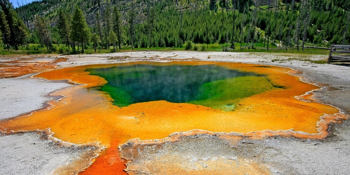 12_HI_USA_YellowStone_NP_1.jpg