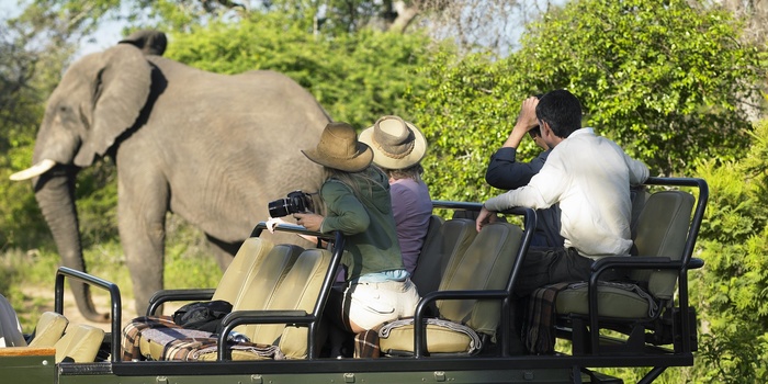 14_HI_Sydafrika_Safarijeep_1.jpg