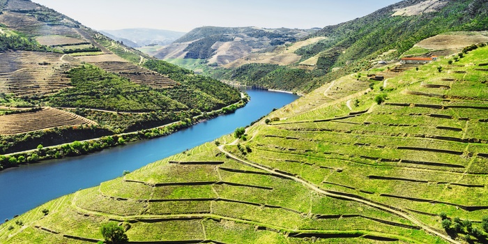 Portugal Douro floden vinmarker nær Pinhao