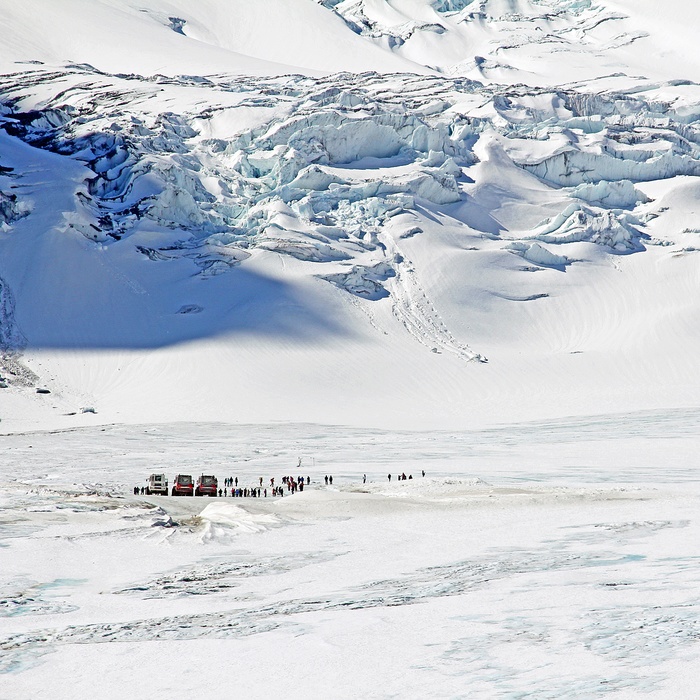 Turister på Columbia Icefield og Athabasca Glacier i Jasper Nationalpark, Alberta i Canada