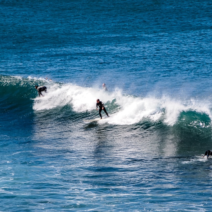 Surfing - Torquay i Australien