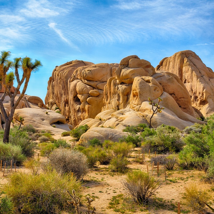 Joshua Tree National Park, Californien i USA