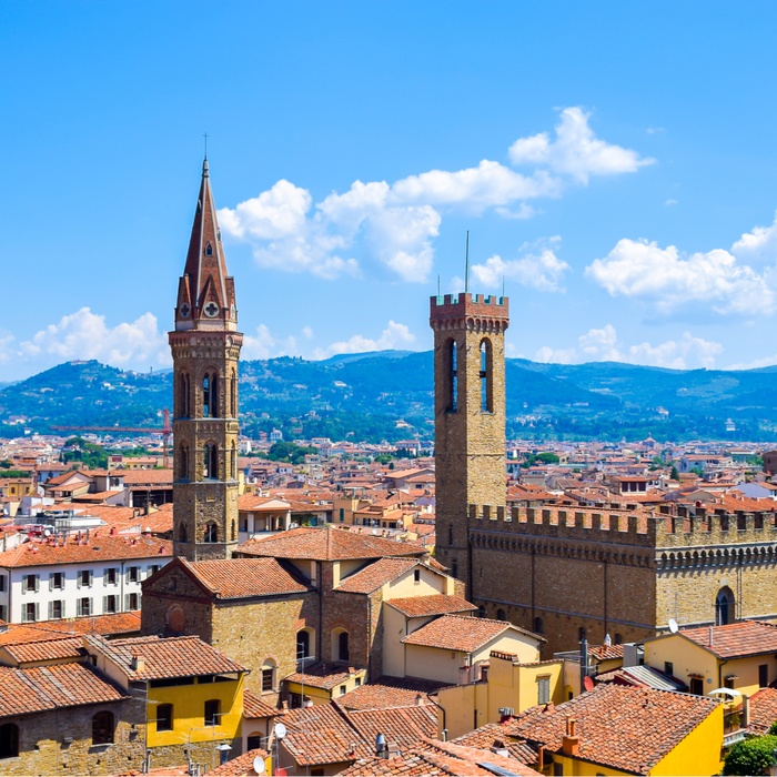 Bargello set fra luften i Firenze 