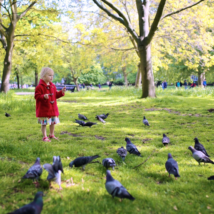 Hyde Park i London 