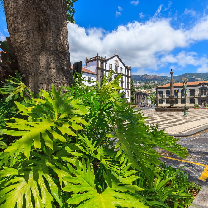 Katedralen Sé i Funchal på Madeira - Portugal