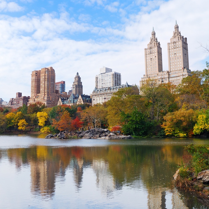 Efterår i Central Park, New York