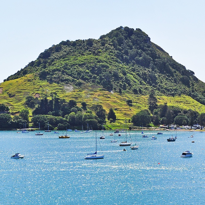 New Zealand Bay of Plenty Tauranga Mount Maunganui