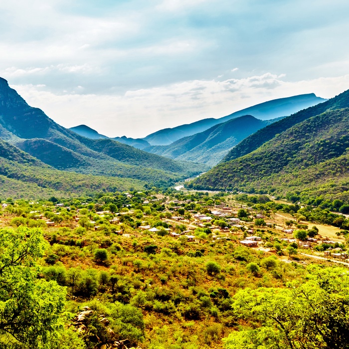 Olifantriver i Sydafrika