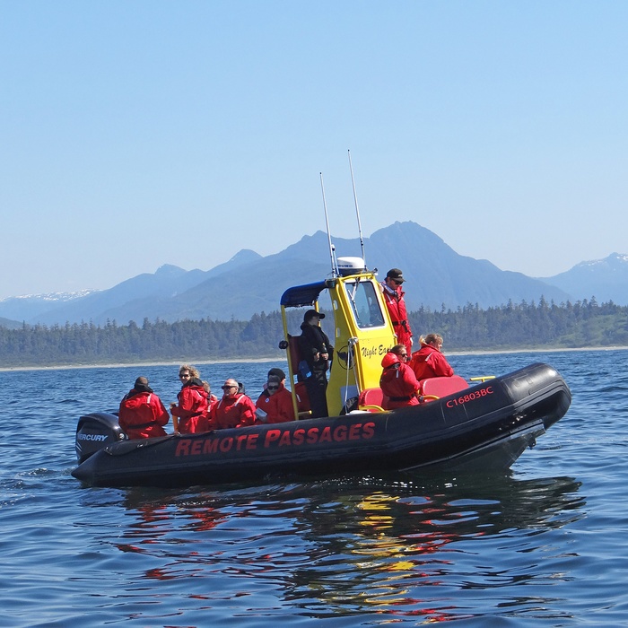 På hvalsafari fra Tofino, Vancouver Island, British Columbia i Canada