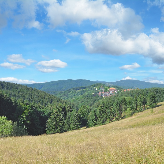St. Andreasberg, Harzen