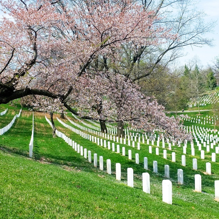 USA Washington DC Arlington National Cemetery