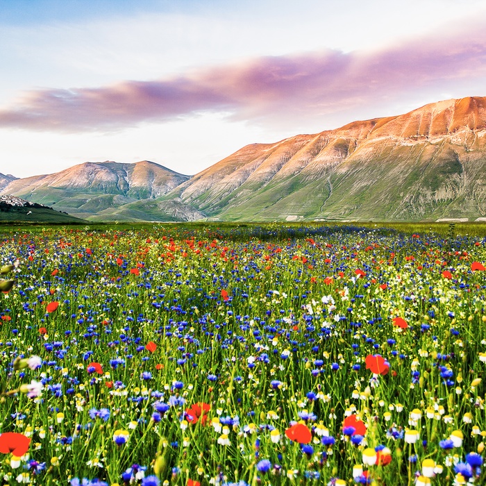 Casteluccio, Piana Grande i Umbrien