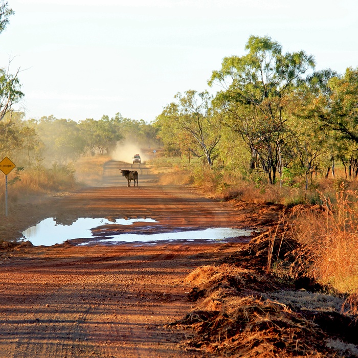 Gibb River Road - vej gennem Kimberly i Western Australia