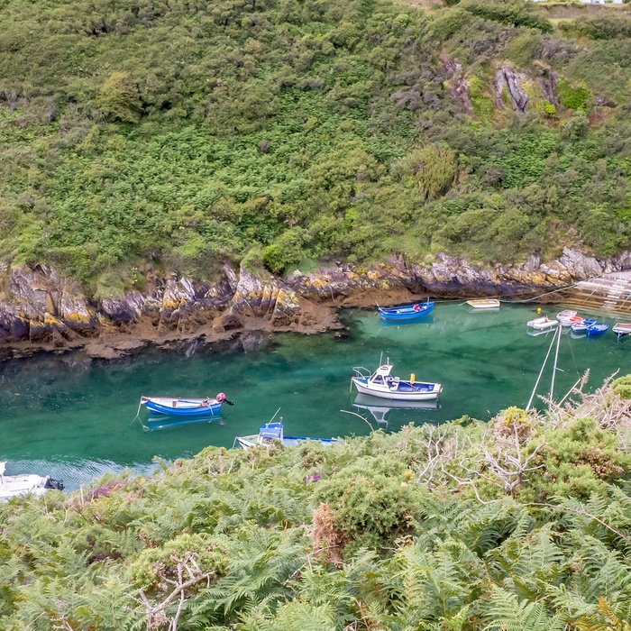 Wales, Pembrokeshire - Porthclais harbour 