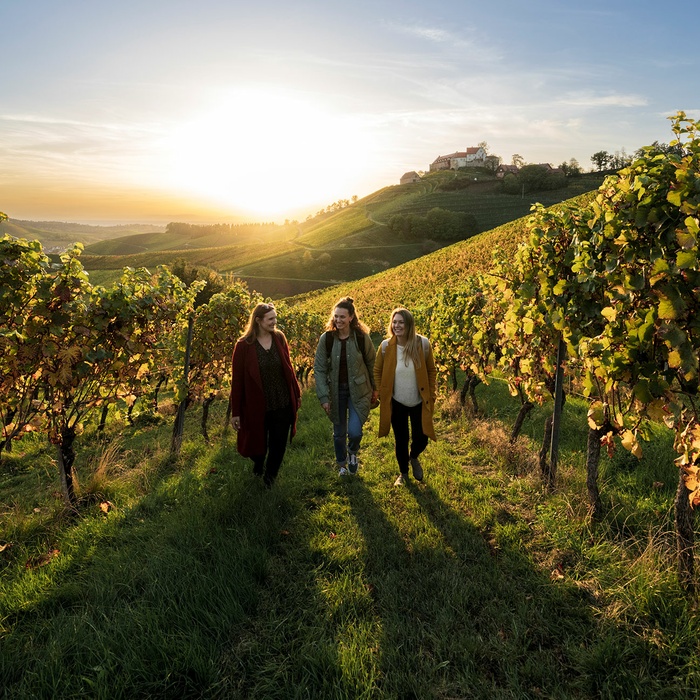 Vinvandring ved Badische Weinstrasse - © Schwarzwald Tourismus