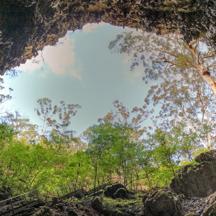 Kalkstenshulen eller grotten Mammoth Cave i Western Australia, Australien