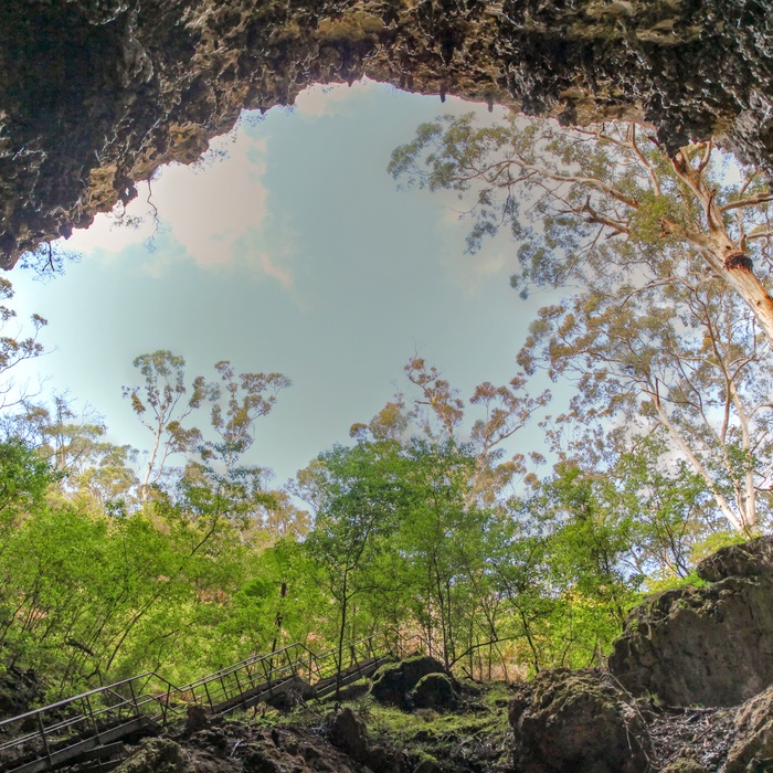 Kalkstenshulen eller grotten Mammoth Cave i Western Australia, Australien