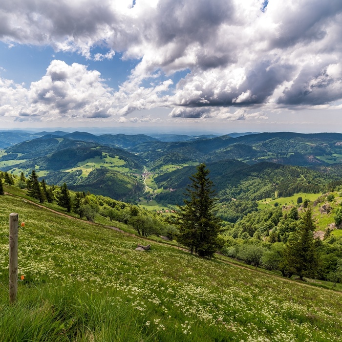 Udsigt fra Belchen © Hochschwarzwald Tourismus GmbH