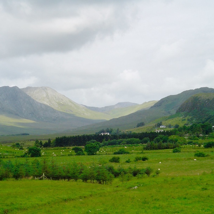 IRL_CONNEMARA_1_05.jpeg