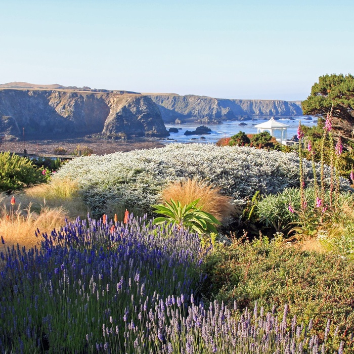 Mendocino i Californien