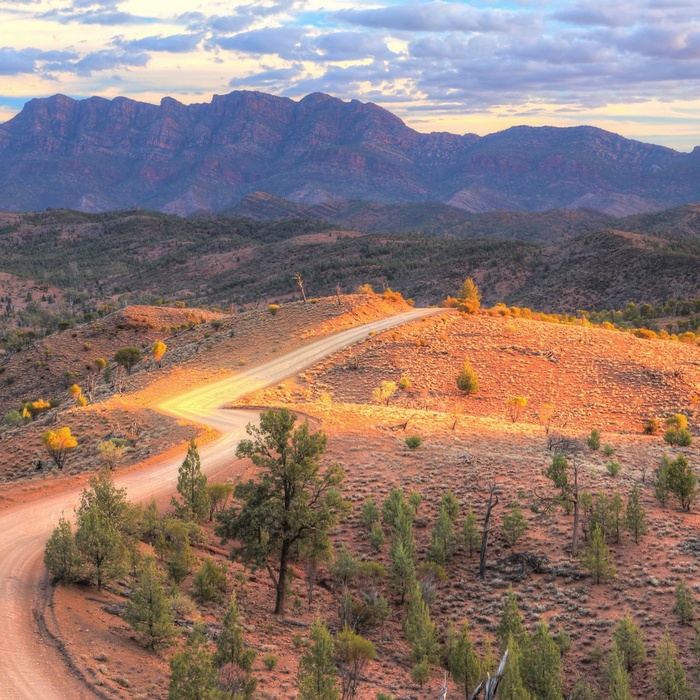 Dirtroad mod Flinders Ranges og Wilpena Pound i South Australia