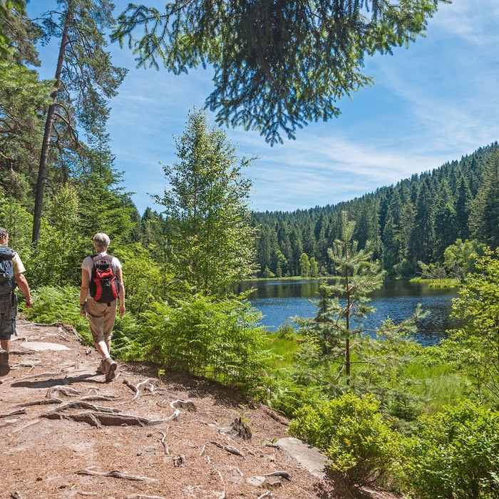 Vandring i Schwarzwald, Sydtyskland