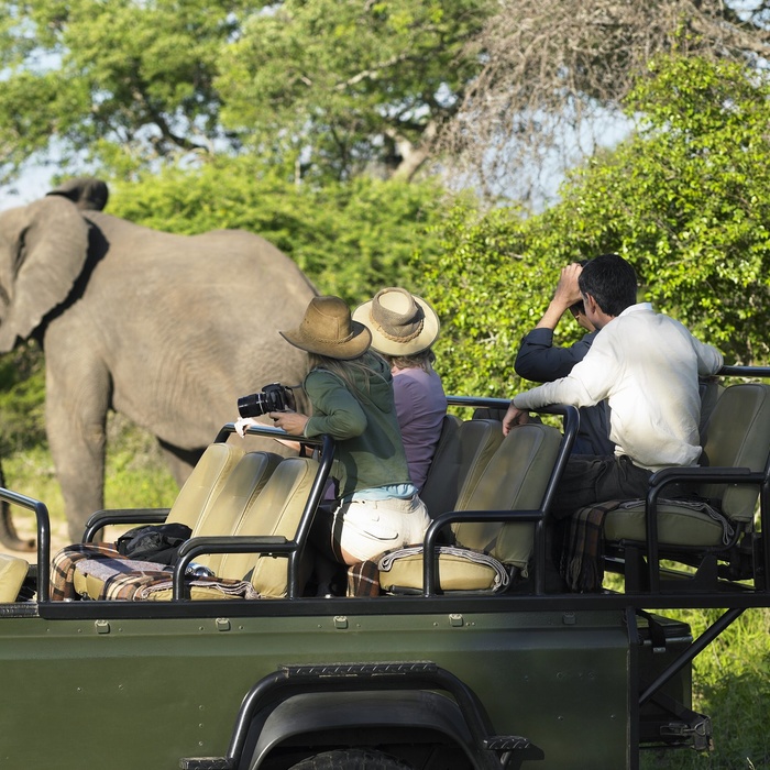 14_HI_Sydafrika_Safarijeep_1.jpg