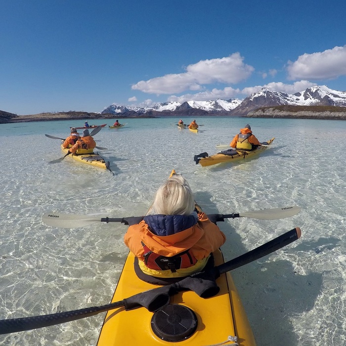 backup detektor mørke Aktiviteter i Lofoten og Nordnorge | FDM travel