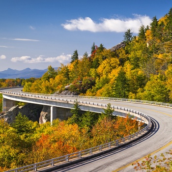 Naturen langs Blue Ridge Parkway - Linn Cove Viaduct North Carolina i det østlige USA