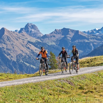 3 voksne på cykeltur i de østrigske Alper