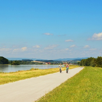 På cykel langs donau floden nær Wallsee i Østrig